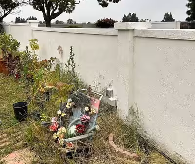 A vibrant garden in front of a recently installed stucco wall